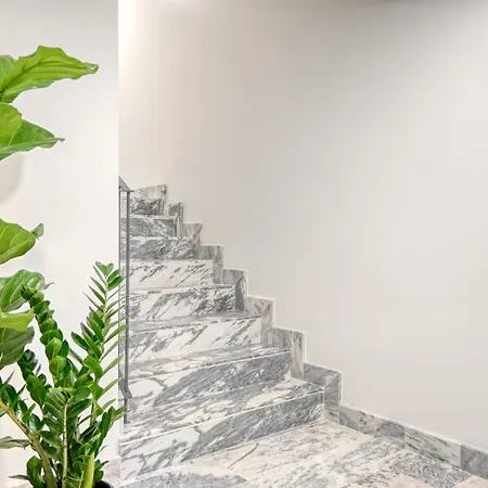 Bse15 1a, A In Madeira